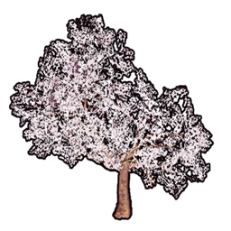Arbre décoratif cerisier C