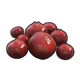 Bacche rosse