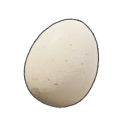 Uovo
