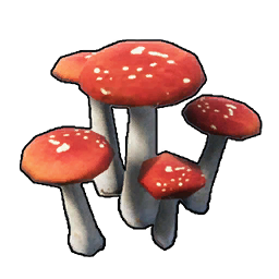 버섯