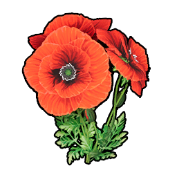 Fiore meraviglioso