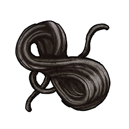 Fibra di carbonio