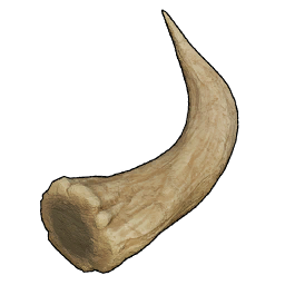 Corno