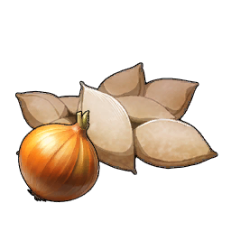Semi di cipolla