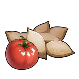 Semi di pomodoro